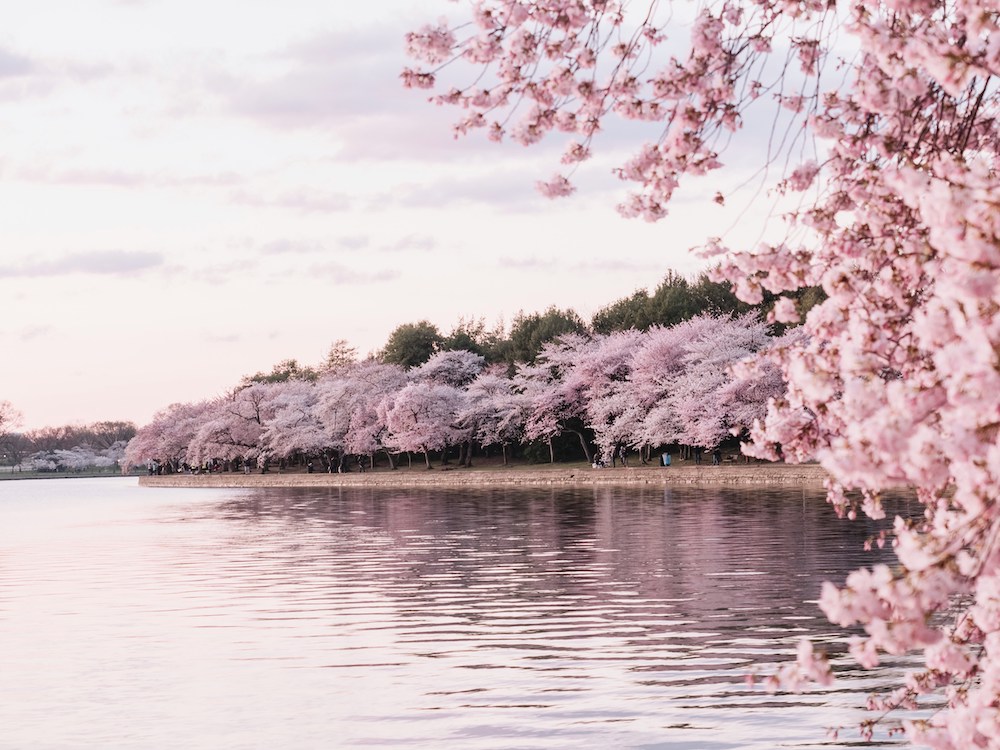Spring Bucket List